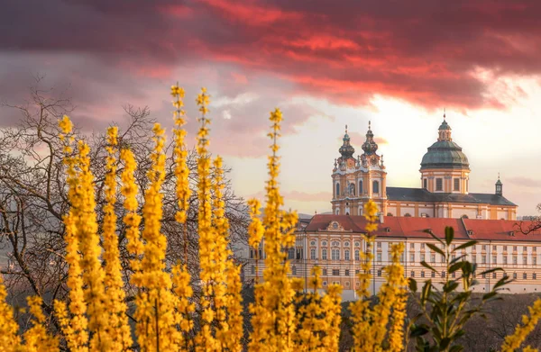 Melkekloster mot soloppgang om våren i Østerrike, Wachau-området – stockfoto