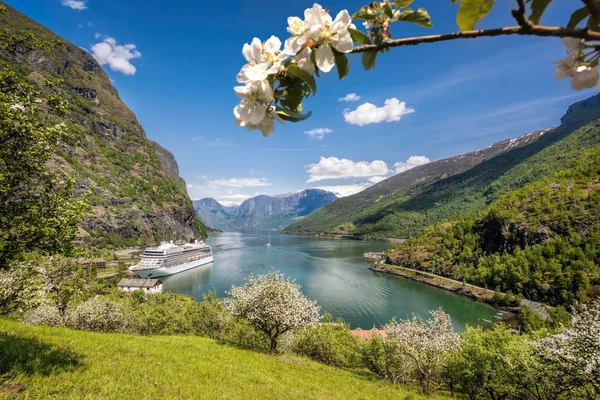 Flam aldeia com navio no porto contra fiorde durante a primavera, Noruega — Fotografia de Stock