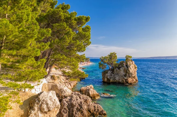克罗地亚达尔马提亚Brela著名的蓬塔拉塔海滩和一个小岛 — 图库照片
