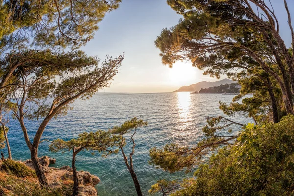 Amazing Croatian Beaches Sunset Brela Dalmatia Croatia — Stock Photo, Image