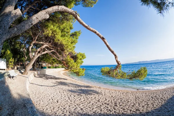 Incredibili Spiagge Croate Contro Tramonto Brela Dalmazia Croazia — Foto Stock