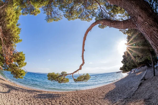 Geweldige Kroatische Stranden Tegen Zonsondergang Brela Dalmatië Kroatië — Stockfoto