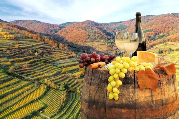 Vino Blanco Con Barril Viñedos Famosos Durante Otoño Wachau Austria — Foto de Stock