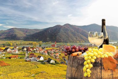 Avusturya, Wachau Vadisi 'nde sonbahar bağları olan Weissenkirchen köyüne karşı kadehli bir şişe beyaz şarap.