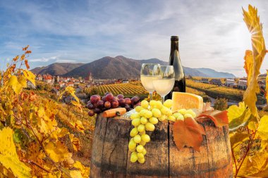 Avusturya, Wachau Vadisi 'nde sonbahar bağları olan Weissenkirchen köyüne karşı kadehli bir şişe beyaz şarap.
