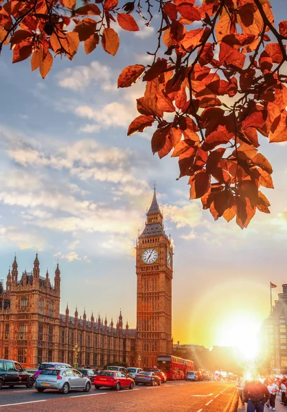 Big Ben Proti Barevnému Západu Slunce Podzimními Listy Londýně Anglie — Stock fotografie