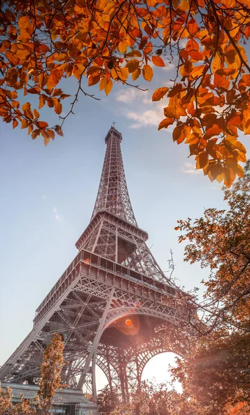 Torre Eiffel Con Hojas Otoño París Francia —  Fotos de Stock
