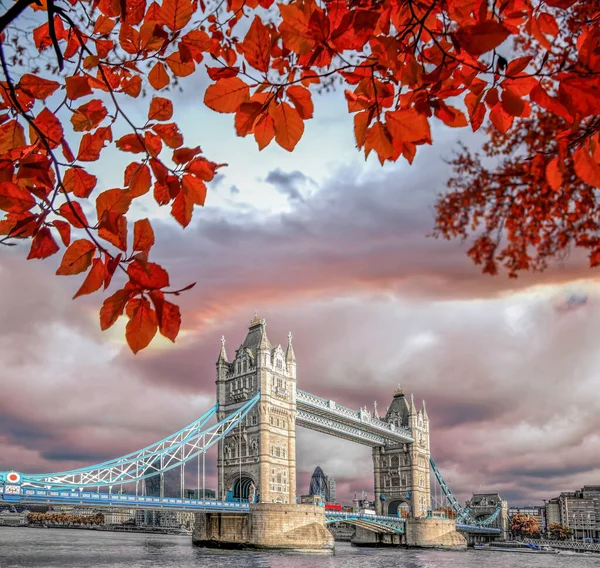 Famous Tower Bridge Autumn Leaves London United Kingdom — Stock Photo, Image