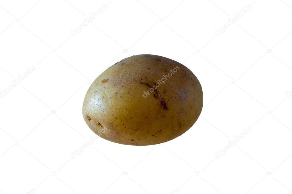 One unpeeled potato with white background - side view