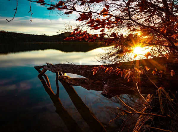 Una hermosa puesta de sol en un lago tranquilo y tranquilo - un tronco de árbol en —  Fotos de Stock