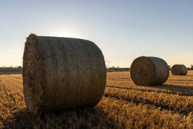 Saman balyaları, saman balyaları, gün batımında bir tarlada