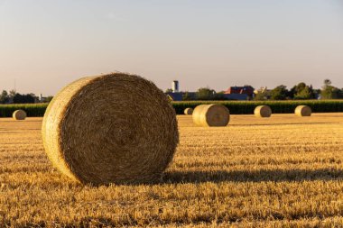 Saman balyaları, saman balyaları, gün batımında bir tarlada