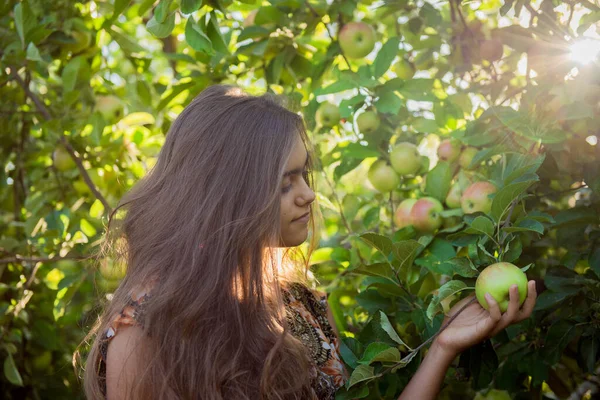 Chica Come Manzana Chica Huerto Manzanas Comiendo Una Manzana Una — Foto de Stock