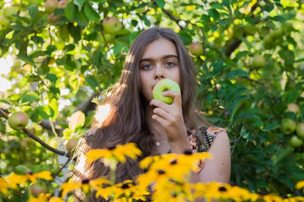 Chica Come Manzana Chica Huerto Manzanas Comiendo Una Manzana Una — Foto de Stock