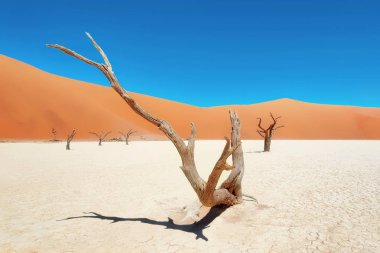 Naukluft Milli Parkı, Namibia, Ocak 2018 yılında alınan ölü Vlei