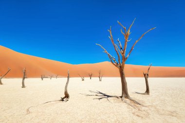 Naukluft Milli Parkı, Namibia, Ocak 2018 yılında alınan ölü Vlei