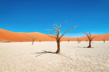 Naukluft Milli Parkı, Namibia, Ocak 2018 yılında alınan ölü Vlei