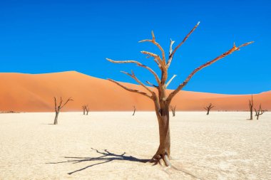 Naukluft Milli Parkı, Namibia, Ocak 2018 yılında alınan ölü Vlei