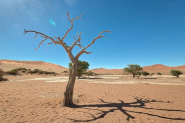 Naukluft Milli Parkı, Namibia, Ocak 2018 yılında alınan ölü Vlei