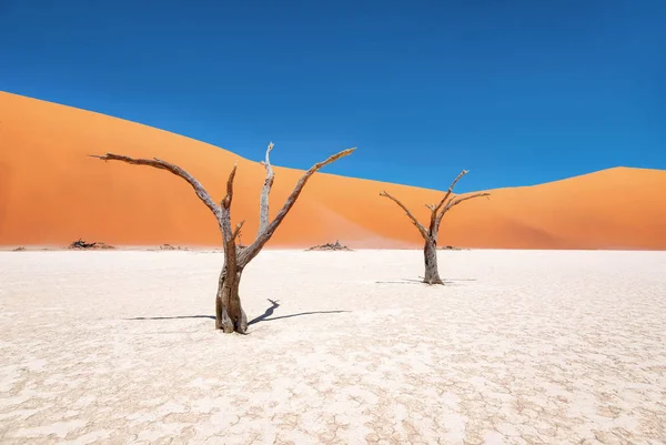 Dead Vlei Naukluft National Park Namibia Taken January 2018 — Stock Photo, Image