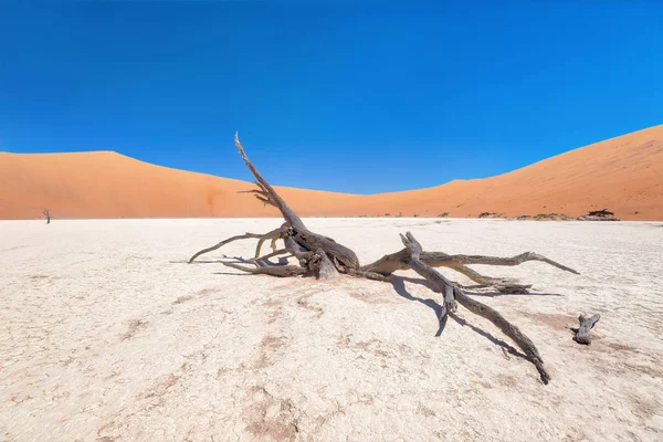 Dead Vlei Naukluft National Park Namibia Taken January 2018 — Stock Photo, Image