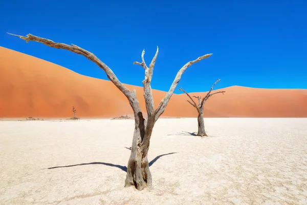 Dead Vlei Naukluft National Park Namibia Taken January 2018 — Stock Photo, Image