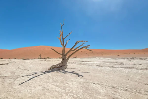 死んで Vlei 国立ウクルフトパ ナミビア 2018 月撮影 — ストック写真