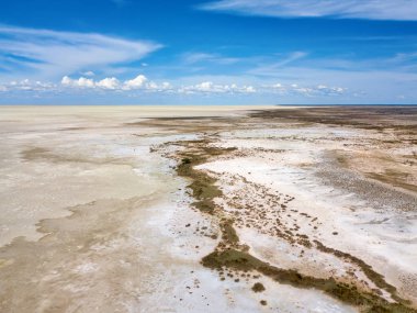 Etoscha Milli Parkı Kuzey Namibya Ocak 2018 yılında alınan