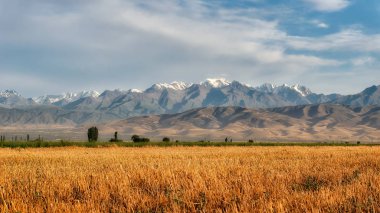 Fırtına görünümü doğru Kırgızistan Güney Kazakistan Ağustos hdr içinde alınan 2018 yılında çekilen '