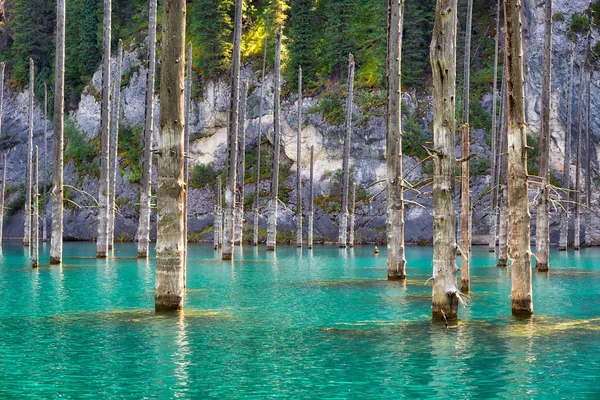 Lago Kaindy Sudeste Cazaquistão Tomado Agosto 2018 Hdr — Fotografia de Stock