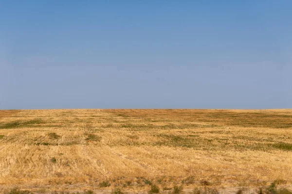 Campo Seco Sur Kazajstán Tomada Agosto 2018 Tomada Hdr —  Fotos de Stock