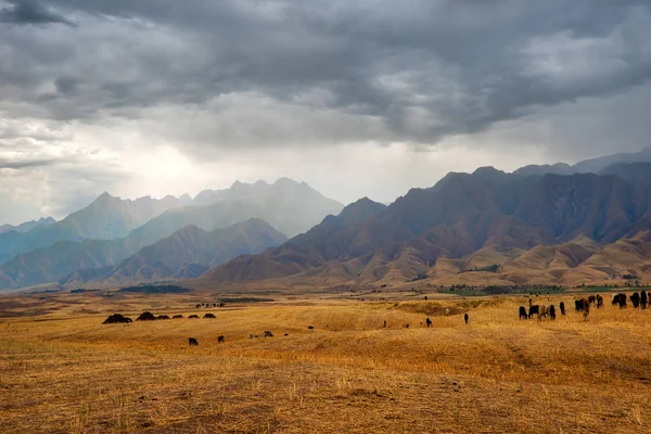 Thunderstorm View Towards Kyrgyzstan in Southern Kazakhstan taken in August 2018 taken in hdr