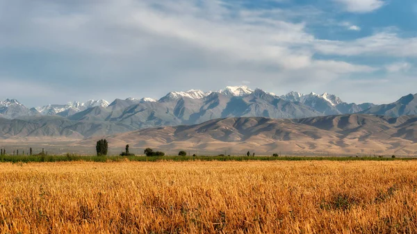 Fırtına Görünümü Doğru Kırgızistan Güney Kazakistan Ağustos Hdr Içinde Alınan — Stok fotoğraf