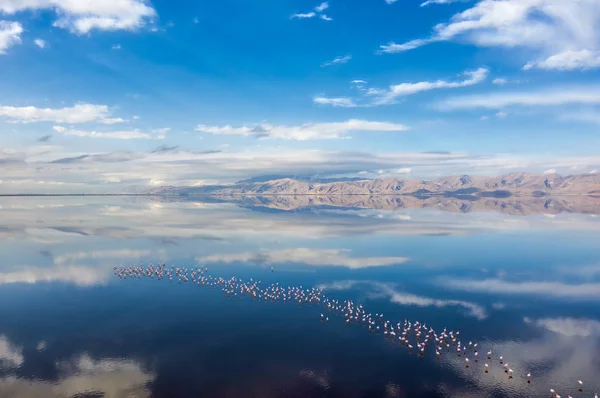 Розовое озеро Махарлу возле Шираза в Иране, принять в январе 2019 года — стоковое фото
