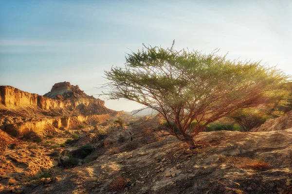 Az egyenes a Hormuz, Dél-Iránban, hozott Qeshm-sziget — Stock Fotó