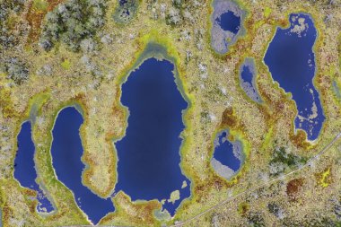 Bulutlu bir sabahta, Estonya 'nın doğusunda Viru Bataklığı ele geçirildi.