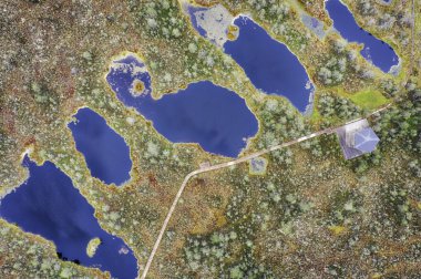 Bulutlu bir sabahta, Estonya 'nın doğusunda Viru Bataklığı ele geçirildi.