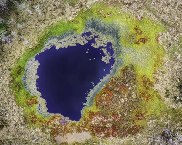 Viru Bog em uma manhã nublada, a leste de Tallinn, Estónia, tomada em — Fotografia de Stock