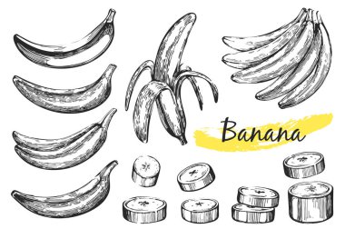 Vektör toplama kroki muz ile