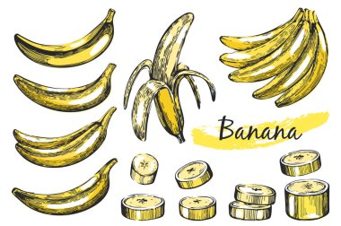 Muz renkli kroki simgeleri beyaz zemin üzerine