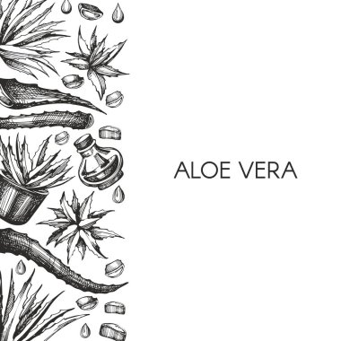 Vektör arka plan ile el çekilmiş aloe vera