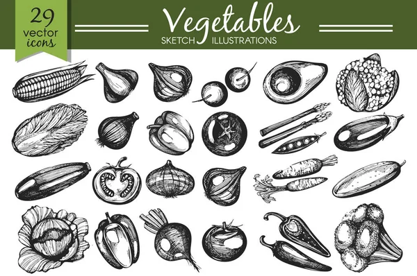 Conjunto Vectores Con Verduras Dibujadas Mano — Vector de stock