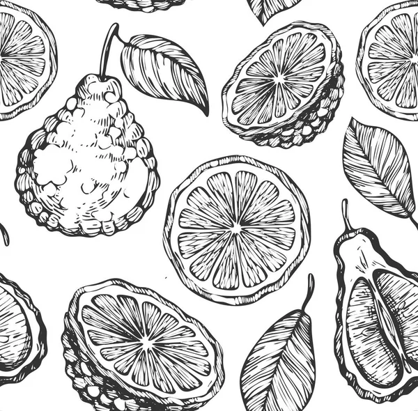 Seamless Pattern Sketch Bergamot — Stock Vector