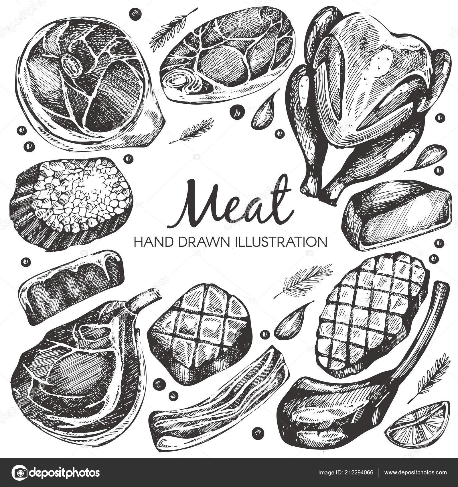 Vector Set Hand Drawn Meat Products White Background Stock Illustration