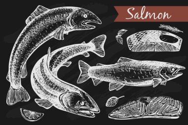 Vektör grafik Somon - Balık ve siyah arka plan üzerine fileto ayarla