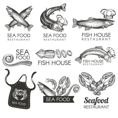 Vektör logotype için Restoran ile ayarla. Deniz ürünleri, balık yemi.