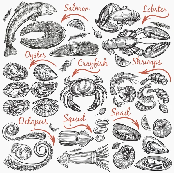 Ensemble Vectoriel Avec Collection Dessinée Main Fruits Mer Moules Crabe — Image vectorielle