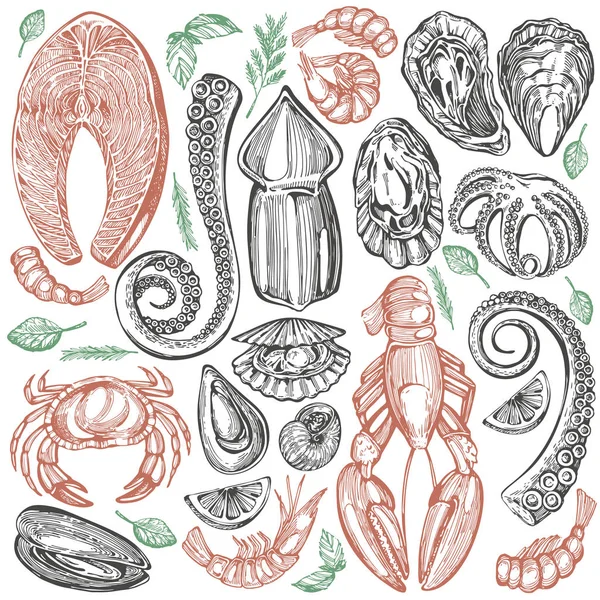 Ensemble Vectoriel Avec Collection Dessinée Main Fruits Mer Moules Crabe — Image vectorielle