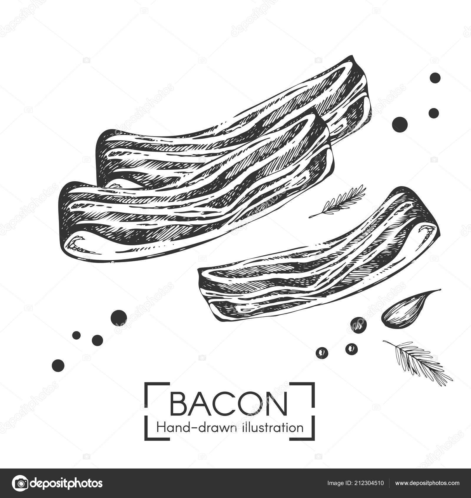 Bacon Illustration Black And White