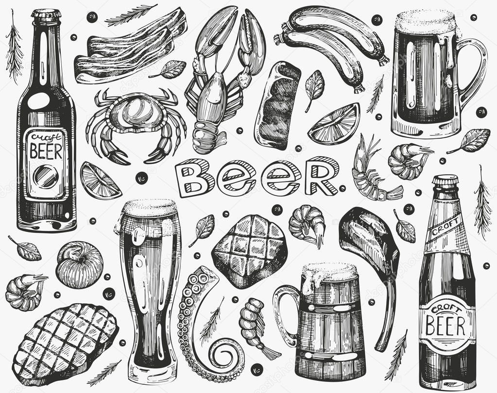 Vector set with sea food, meat and beer. Isolated illustrations for you design.